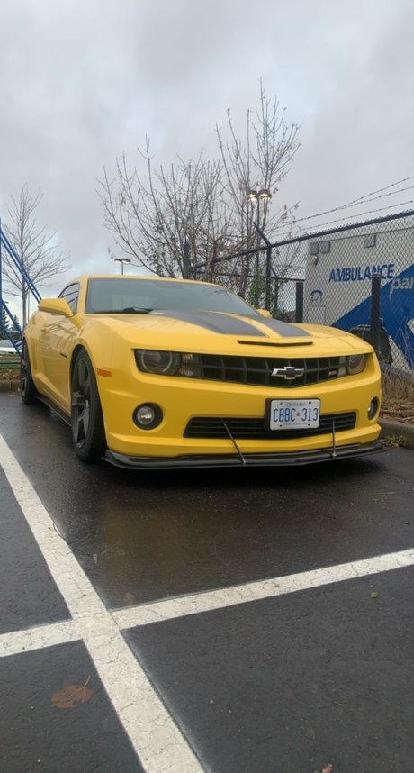 Cassian Gunawardana beautiful star pic