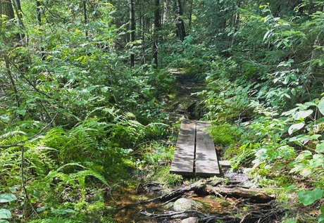 mickey_ high quality pornstar photos