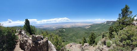 Will Wright hot actress archive