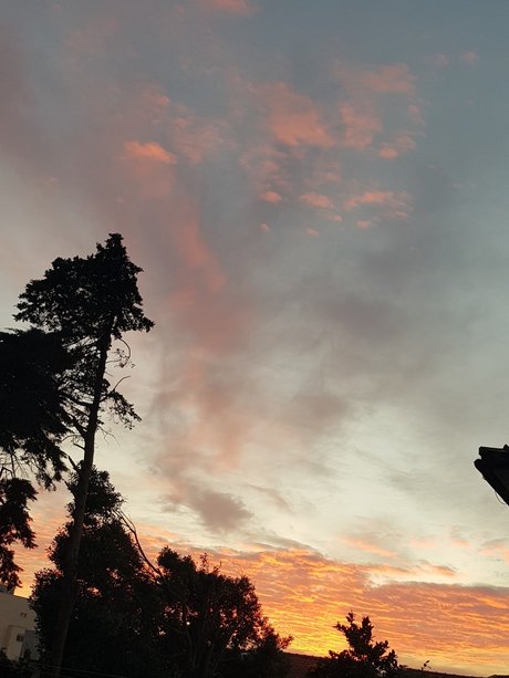 Cardoso star adult galleries