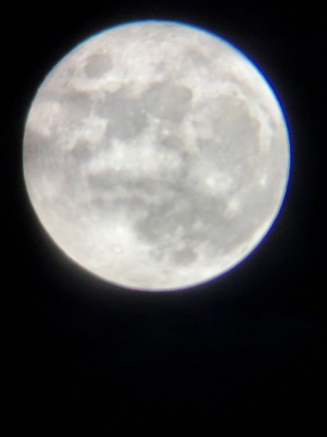 mina rose_ pornstar exclusive img