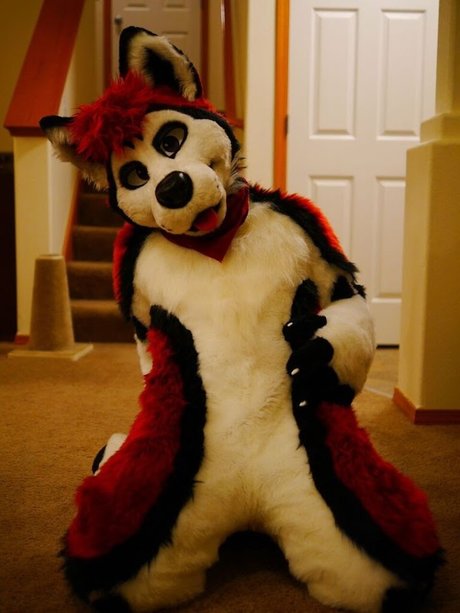 Cenny After Bark_ beautiful pornstar photos