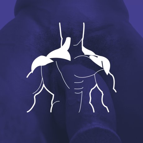 Andres Henri beautiful model img