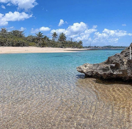 Caribbean Boy_ best pornstar picture