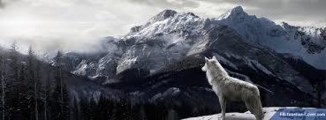 Chad Mordecai star sexy galleries