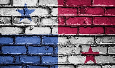 Joey Panama adult star image