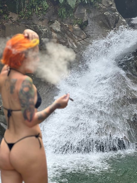 Carolina_ best star pictures