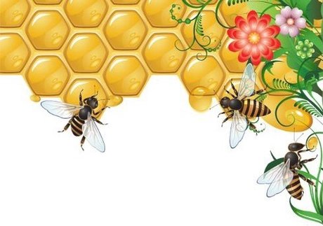 Anastasia Diavian model beautiful pictures