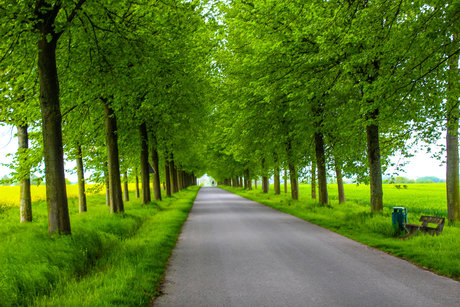 LuisasFantasyJourney pornstar naked pictures