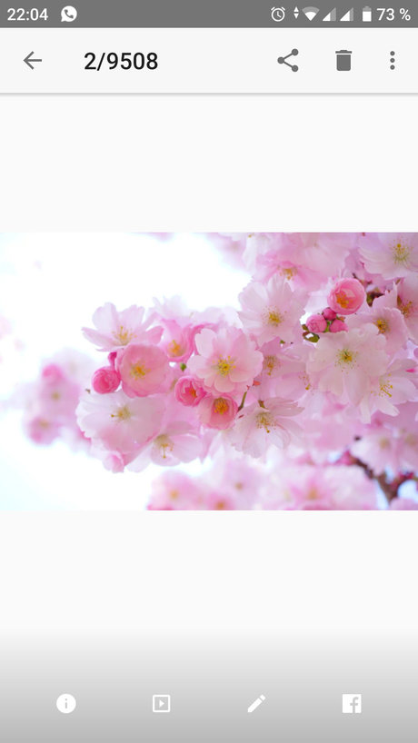 Miss Appleeee free actress archive