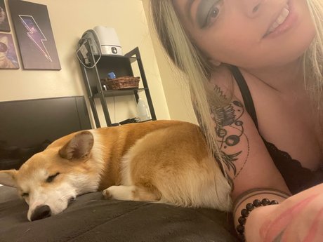 Sara Michelle_ nice pornstar pic