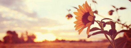 Sunnybunnysunshine perfect star photos