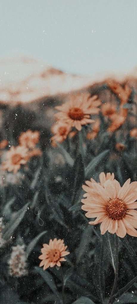 _Nicole pornstar pretty pic