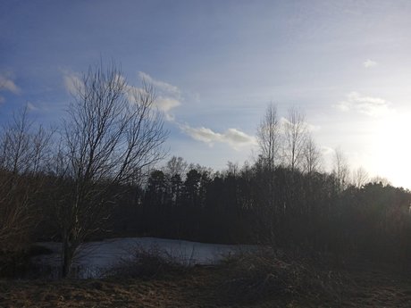 Milisixx perfect pornstar pic