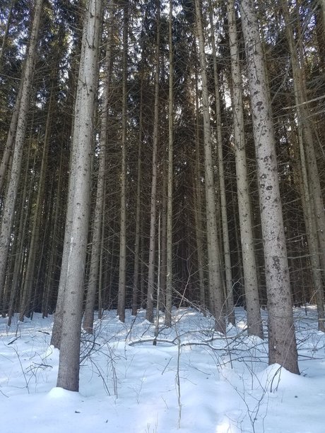 Jason Slate actress img