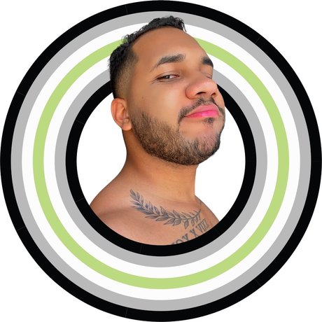 SE STI N model art images