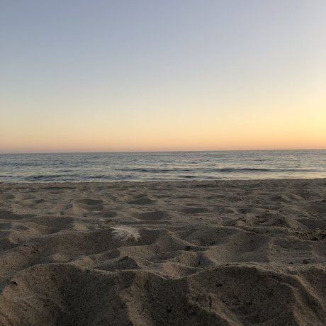 Jarred sex star galleries