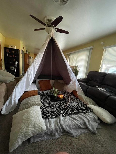 dwep jree star archive