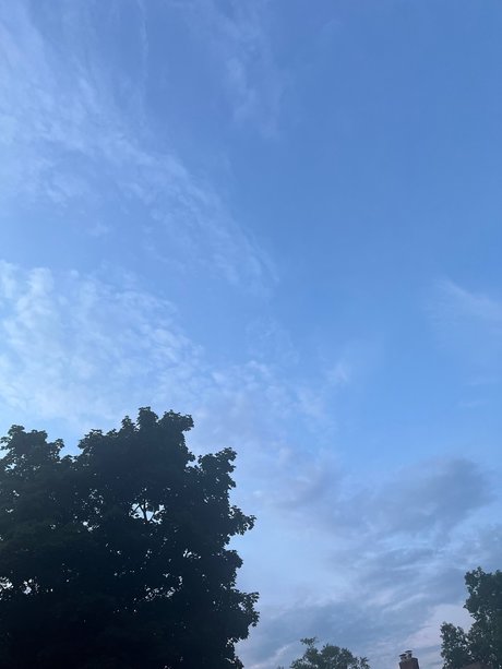 JB_ exclusive star galleries