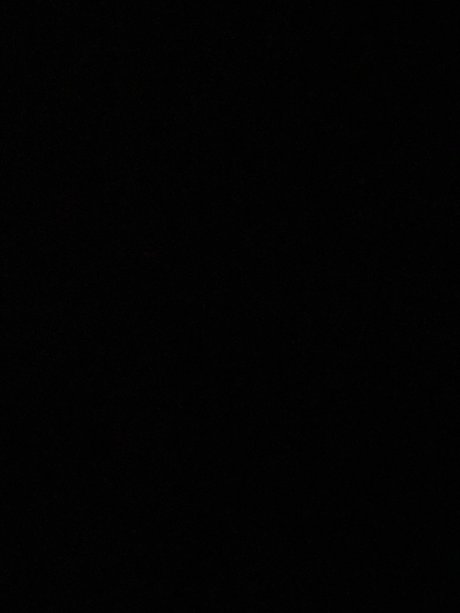 J T_ pornstar free pictures