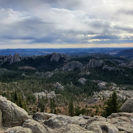 DaisyDuchess star high quality pic