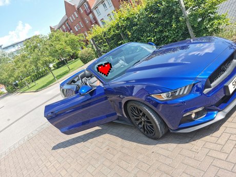 HotWidow nice pornstar gallery