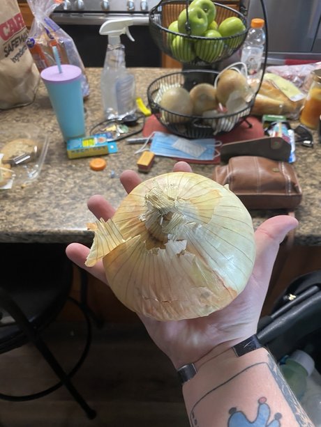 Dontask donttell model pornographic pics