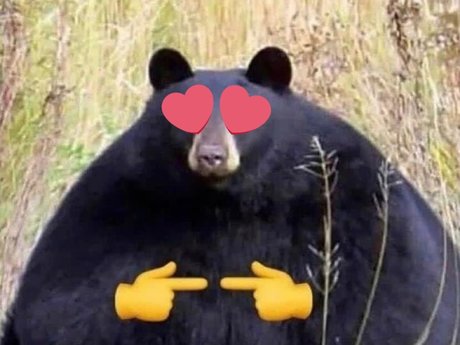 JB the Jawbreaker Bear high quality actress image