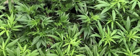 Kara Mel_ star nudes images