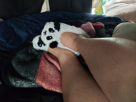 Jest pornstar naked img