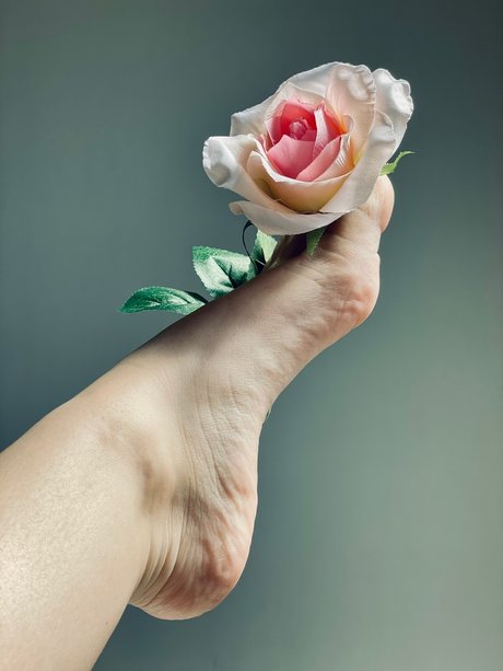 HoneyToes pornographic model pic