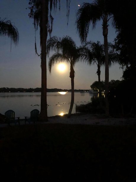 Kushqueen420 top actress pic