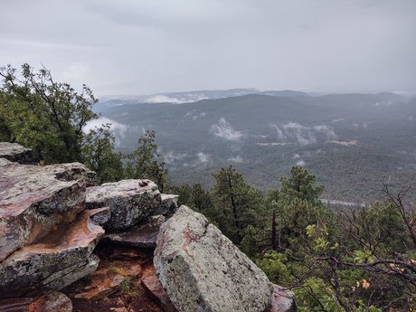 Rae Rich sex star pictures