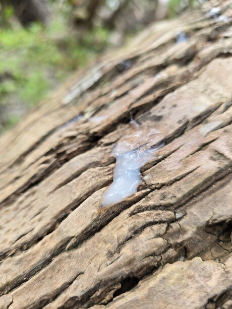 Jaden Big star nice archive