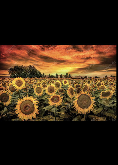 Brittany Snow star hot pics