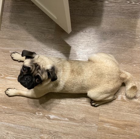 hisreverie model exclusive img