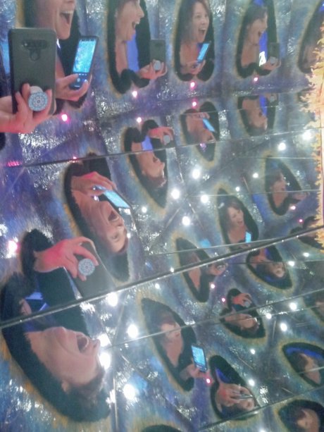 Molly Blingwall VIP exclusive star archive