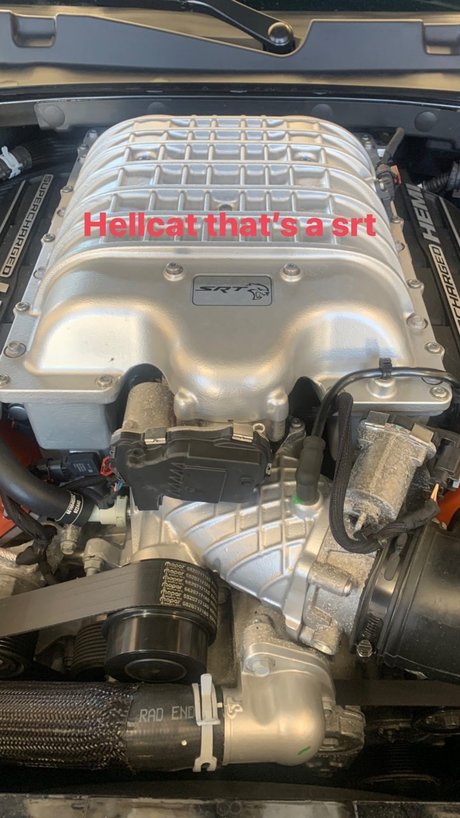 Your desires free model pic