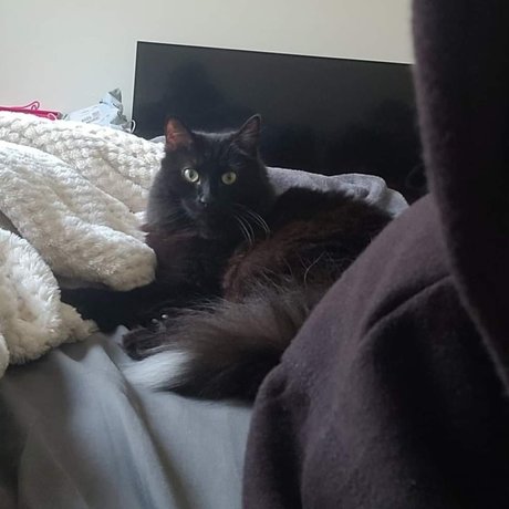 Camie Beilschmidt pornstar sex pictures