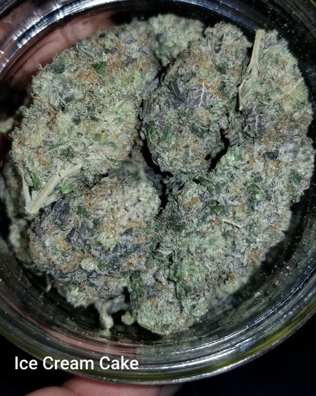 YogaYo model naked img