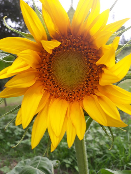 HeArt of Imagination exclusive actress photo