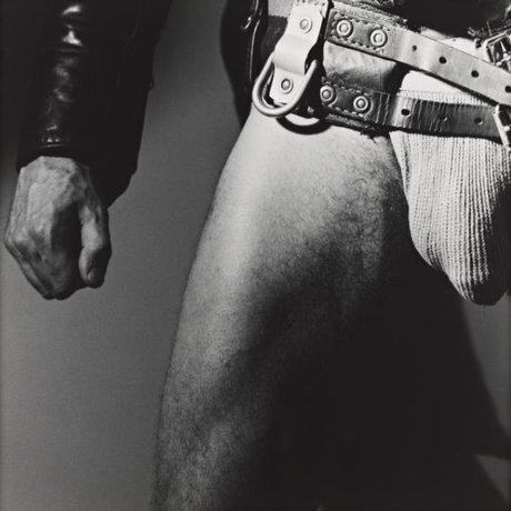 MR MOIS S high quality star photo