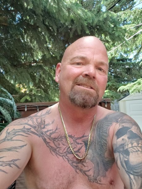 Mr Wadester star porn gallery