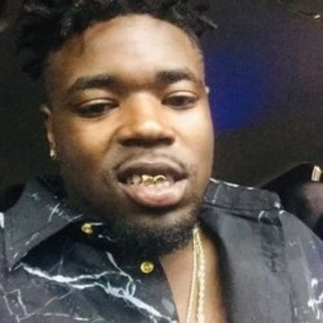 shakesum model image