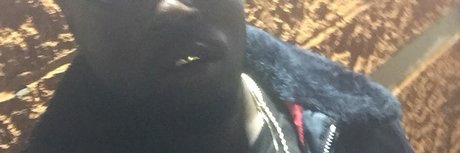 shakesum star nice picture