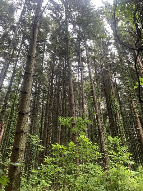 Mr Cream nudes model gallery