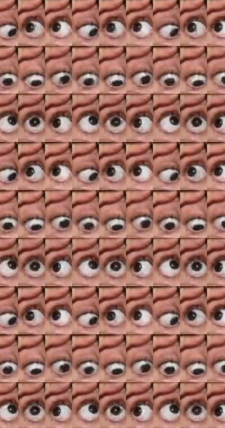 MrJanisJoplin model perfect pic