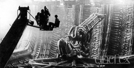 Trevor N pornstar hd gallery