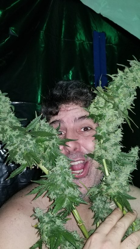 Al13N pornstar exclusive pics