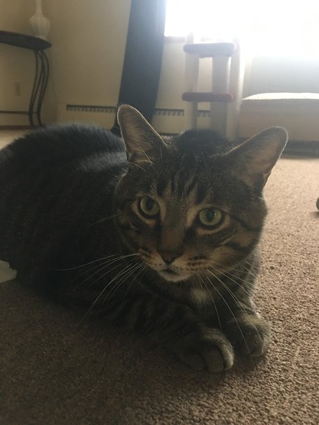 herb1982 star porn photo